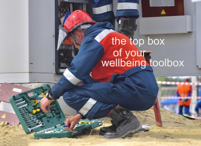 The top box of your wellbeing toolbox